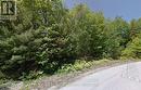 2 Birchwood Trail, Wasaga Beach, ON 