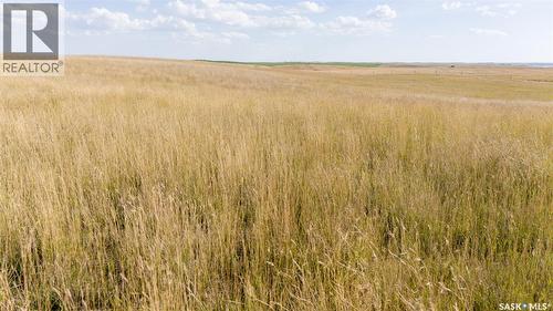 243 Deeded Acres W/ Assignable Crown Lease Rm 101, Terrell Rm No. 101, SK 