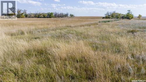 243 Deeded Acres W/ Assignable Crown Lease Rm 101, Terrell Rm No. 101, SK 