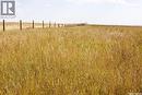 243 Deeded Acres W/ Assignable Crown Lease Rm 101, Terrell Rm No. 101, SK 