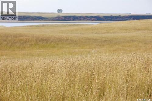 243 Deeded Acres W/ Assignable Crown Lease Rm 101, Terrell Rm No. 101, SK 