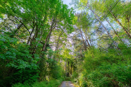 3541 Casey Rd, Duncan, BC 
