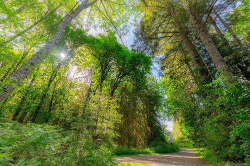 3541 Casey Rd, Duncan, BC 