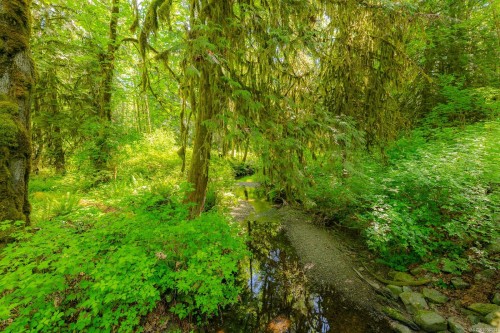 3541 Casey Rd, Duncan, BC 