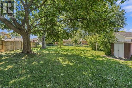 Expansive green space featuring a large mature tree, a privacy fence, and a storage shed - 49 Beverly Crescent, Welland, ON 