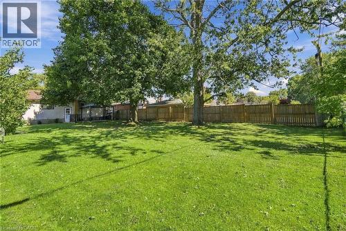Expansive green lawn with mature trees and a wooden privacy fence - 49 Beverly Crescent, Welland, ON 