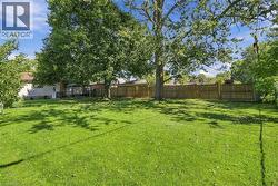 Expansive green lawn with mature trees and a wooden privacy fence - 