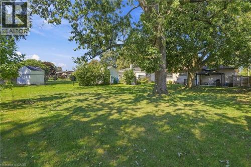 Expansive green space featuring mature trees, a detached storage shed, and a covered patio area - 49 Beverly Crescent, Welland, ON 
