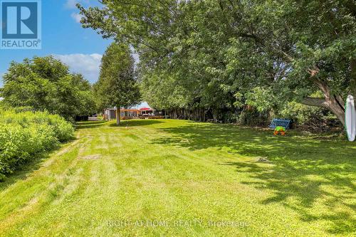 21 Shirley Anne Drive S, Kawartha Lakes, ON 
