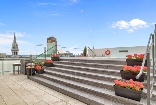 Piscine - 611-1575 Rue Gareau, Montréal (Ville-Marie), QC 