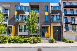 101-3511 Rue St-Dominique Montréal (Le Plateau-Mont-Royal), QC H2X 2X5