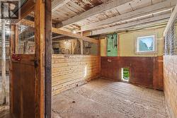 One box stall also used for dogs - 