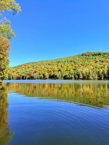 318 Ch. Louis-Pépin , Amherst, QC J0T 2L0 4
