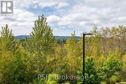 Overlooking Natural Greenspace - 