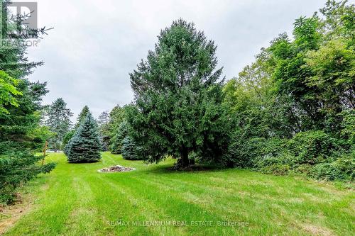 13956 County 2 Road, Cramahe, ON 