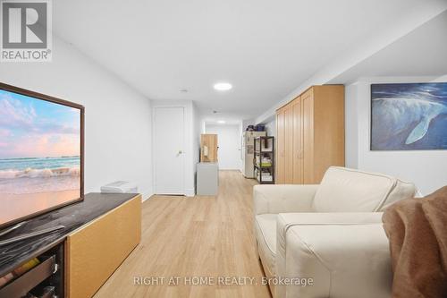 Rec Room Bsmt. - 219 Broadway Avenue, Toronto, ON 