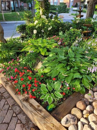 Front Garden - 219 Broadway Avenue, Toronto, ON 