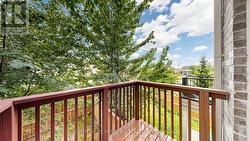 Back Terrace Overlooking Backyard - 