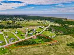 Aerial View - 
