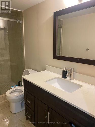 BASEMENT ROOM - 7 BLACKSTONE RIVER DRIVE , Brampton, Ontario L6R 3V5 3