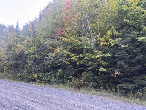 Mtee Rosa — photo 3