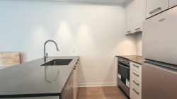 308-1485 Rue des Bassins  Montréal (Le Sud-Ouest), QC H3C 1B7