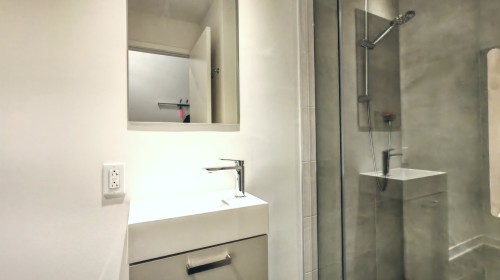 308-1485 Rue des Bassins , Montréal (Le Sud-Ouest), QC H3C 1B7 4