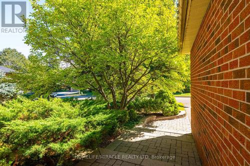 9 Iris Crescent, Brampton, ON 