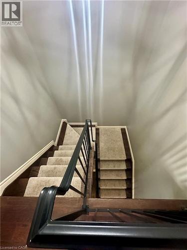 Dual staircases with carpeted treads and wood-finish risers, complemented by a black metal railing - 5 Arden Avenue, Hamilton, ON 