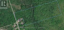 0 MOON LINE ROAD N Trent Lakes, ON K0M 1A0