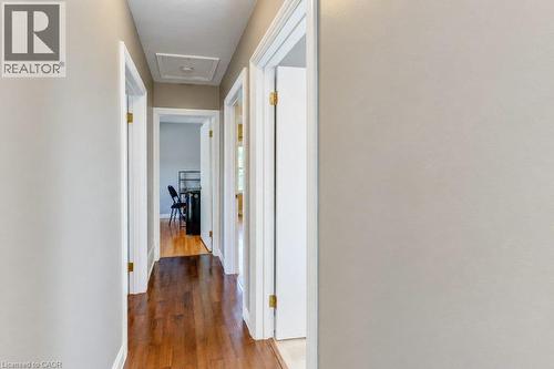 Hallway with wood-finish flooring, white trim, and light-toned walls - 34 Wayne Drive, Kitchener, ON 