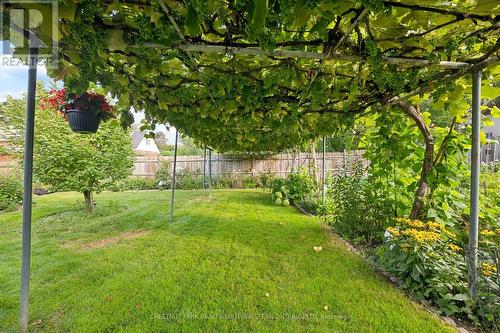 56 Suffolk Avenue, Kitchener, ON 