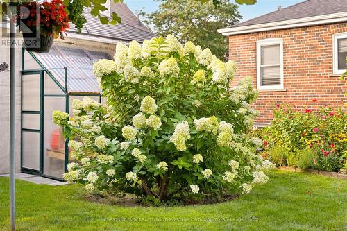 56 Suffolk Avenue, Kitchener, ON 
