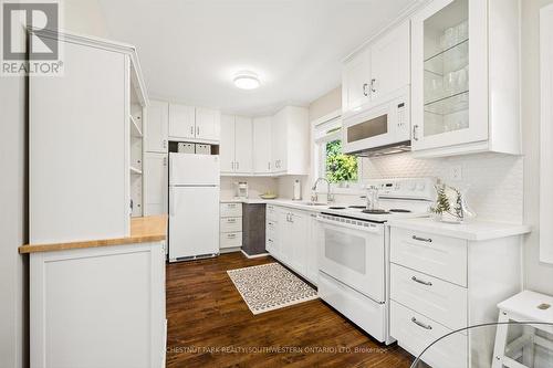 56 Suffolk Avenue, Kitchener, ON 