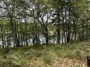 455 Mill Village East Road, Charleston, NS 