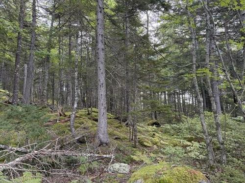 Lot 2 Tupper Lake, Westfield, NS 