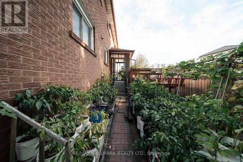 16 Ascolda Boulevard, Toronto, ON 