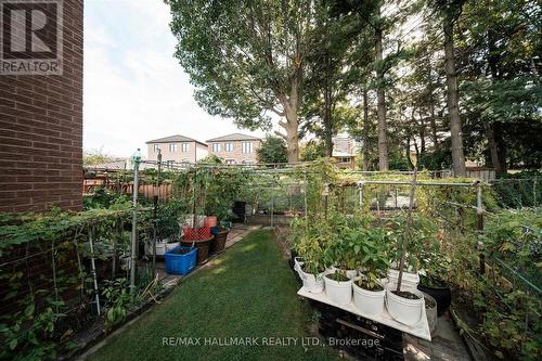 16 Ascolda Boulevard, Toronto, ON 