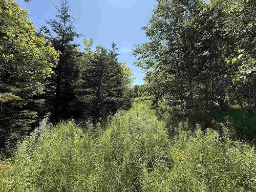 5569 Highway 105 Highway, Port Bevis, NS 