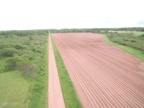 Route 146, Cape Wolfe, PE 