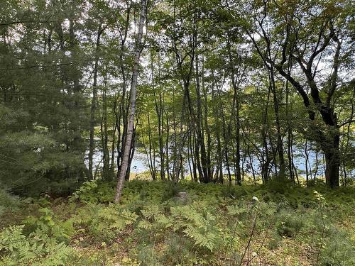 455 Mill Village East Road, Charleston, NS 