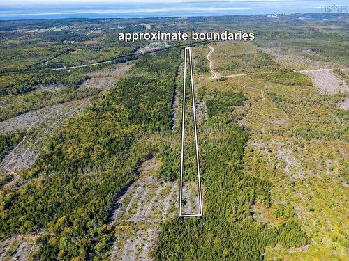 Lot Highway 101, St. Alphonse, NS 