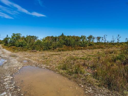 Lot Highway 101, St. Alphonse, NS 