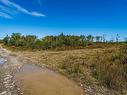 Lot Highway 101, St. Alphonse, NS 