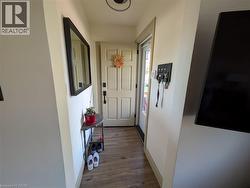 Entryway featuring wood-finish flooring, a paneled entry door, and a wall-mounted mirror - 