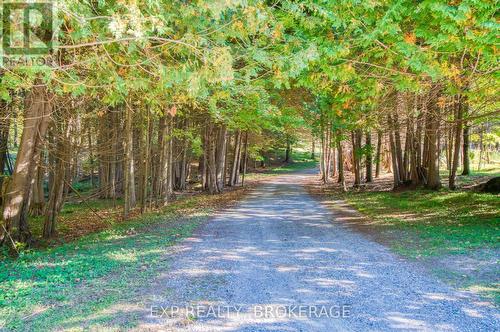 4050 Elphin Maberly Road, Frontenac (Frontenac North), ON 