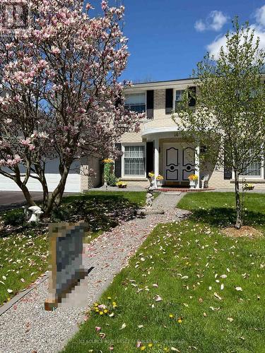 14 Robinhood Drive, Hamilton, ON 