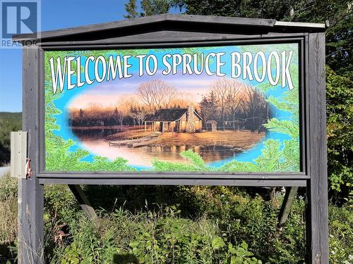 735 Lakeview Road, Spruce Brook, NL 