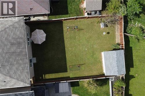 Fenced backyard featuring a detached shed and a green lawn - 25 Guest Street, Hamilton, ON 