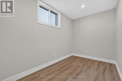 Basement Den - 